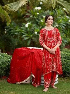 punjabi suit for women