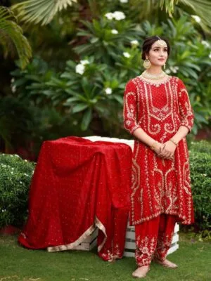 punjabi suit for women