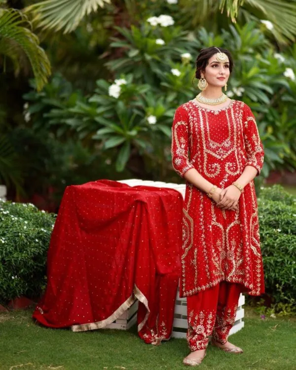 punjabi suit for women