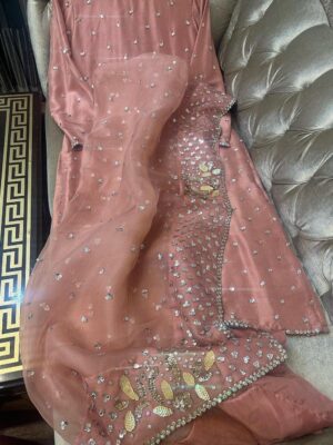 Punjabi silk suit with full handwork on shirt and Dupatta | Peach