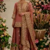 Punjabi Dress For Bridal Pink Color