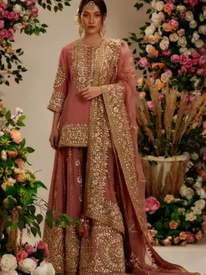 Punjabi Dress For Bridal Pink Color