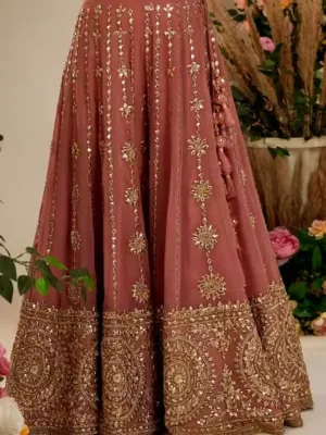 Punjabi dress for bridal pink color