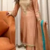 Punjabi wedding suits orange