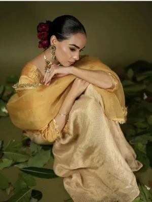 Punjabi suits