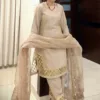 Punjabi salwar kameez with cutwork