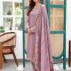 Varsha Liana tissue shimmer party wear suit