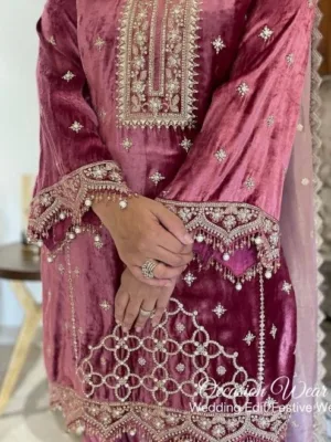 Pink Punjabi Velvet suit for women | Punjabi Clothes