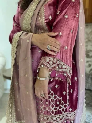 Pink Punjabi Velvet suit for women | Punjabi Clothes