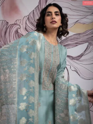Naariti siraya banarasi silk suit design