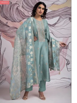 Naariti siraya banarasi silk suit design