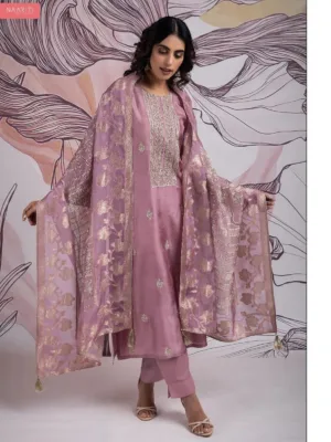 Naariti siraya banarasi silk suit design