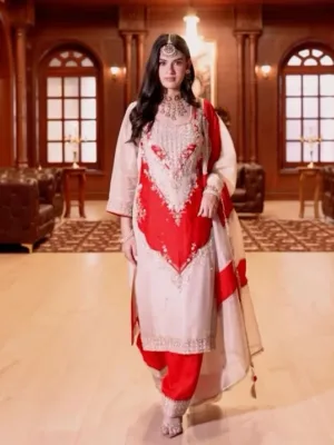 ladies punjabi style dress
