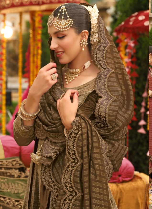 Ibiza anarkali 2 Grey Brown velvet anarkali suit