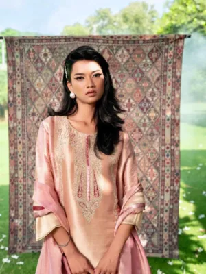 Naariti Khinkhab Brocade suit | Winter suits collection