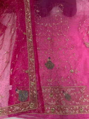 Punjabi Bridal hand embroidery suits | wedding collection | Anand karaz suits
