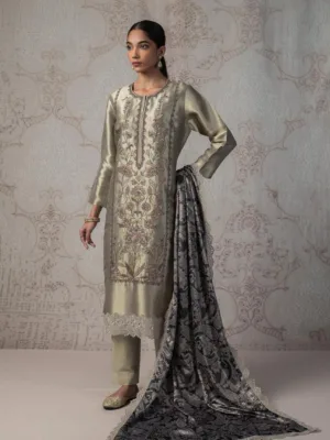 Naariti Saarish Partywear silk suit - Silver